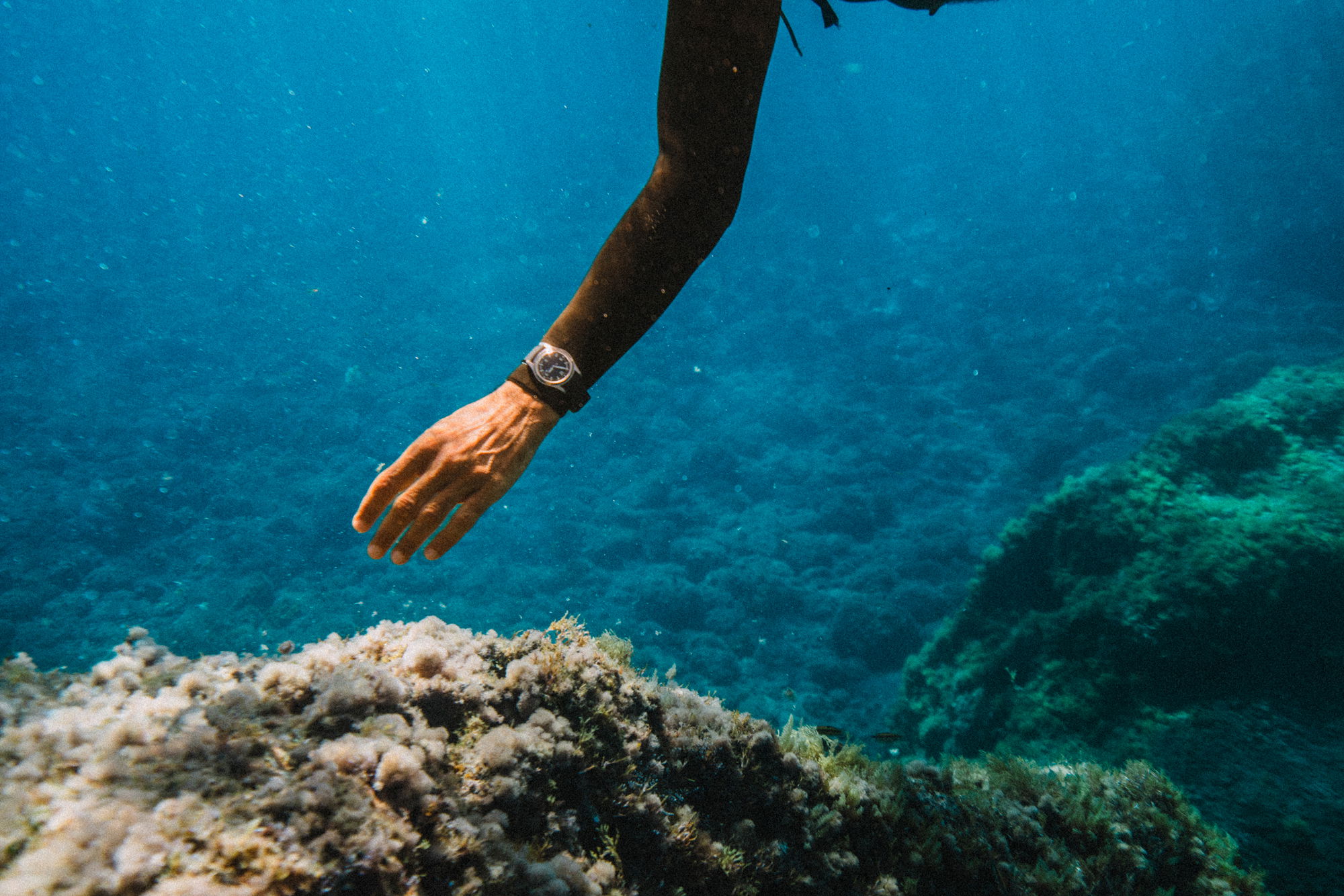 Hermétique Tourer Blue | Baltic Watches